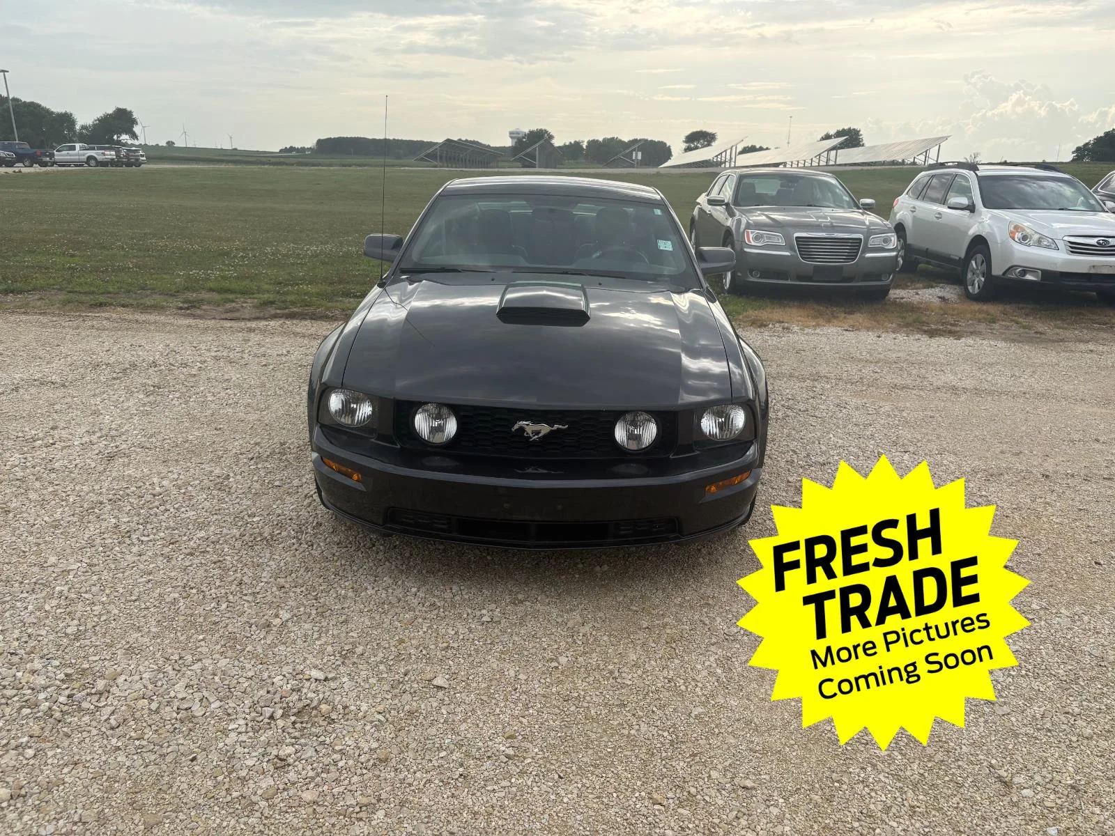 Used 2009 Ford Mustang GT Premium with VIN 1ZVHT82H495127505 for sale in Charles City, IA