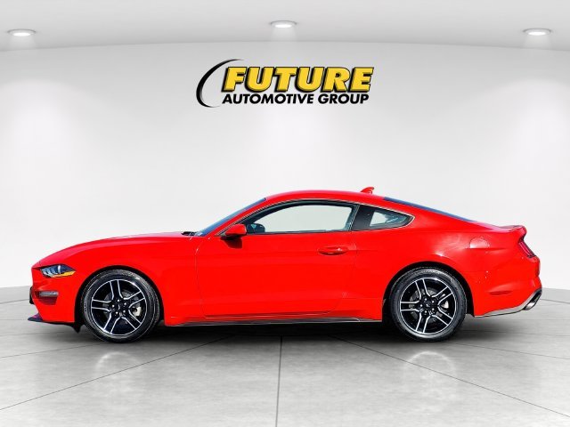 Used 2023 Red Ford EcoBoost Premium image 7