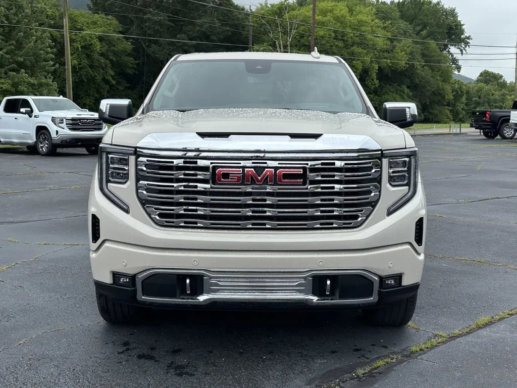 New 2026 Coastal Dune GMC Denali image 5