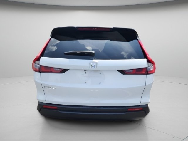 New 2026 Platinum White Pearl Honda EX-L image 6