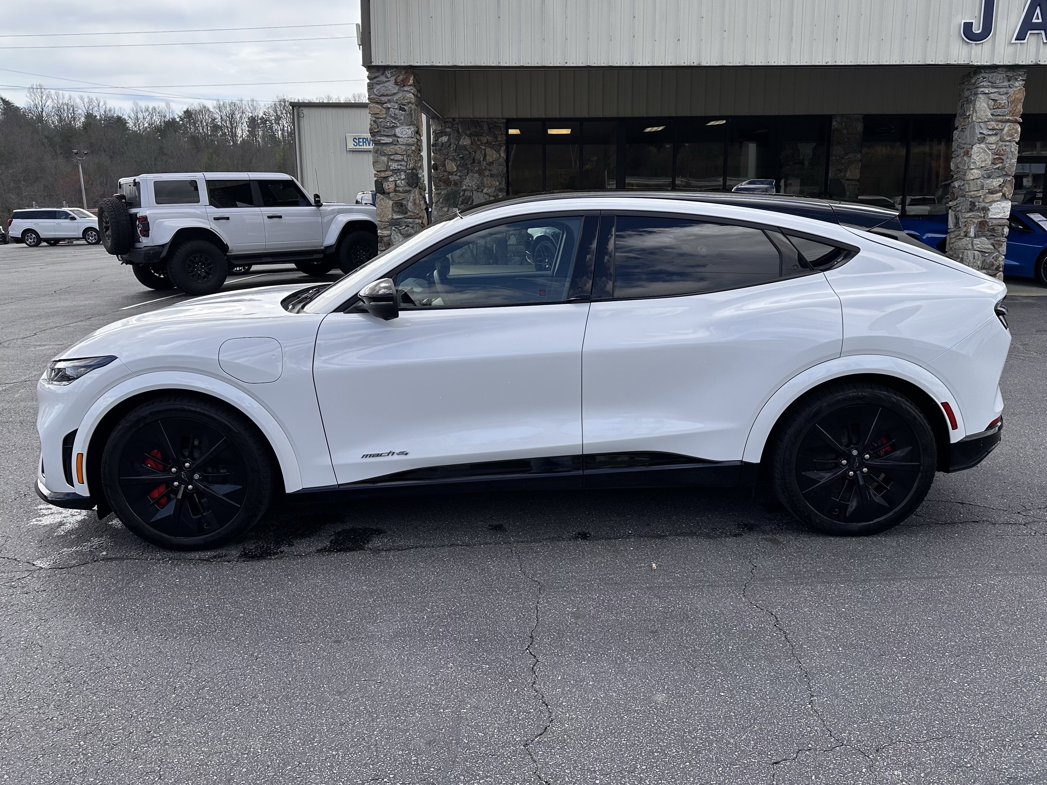 2025 Ford Mustang-Mach-e GT's photo