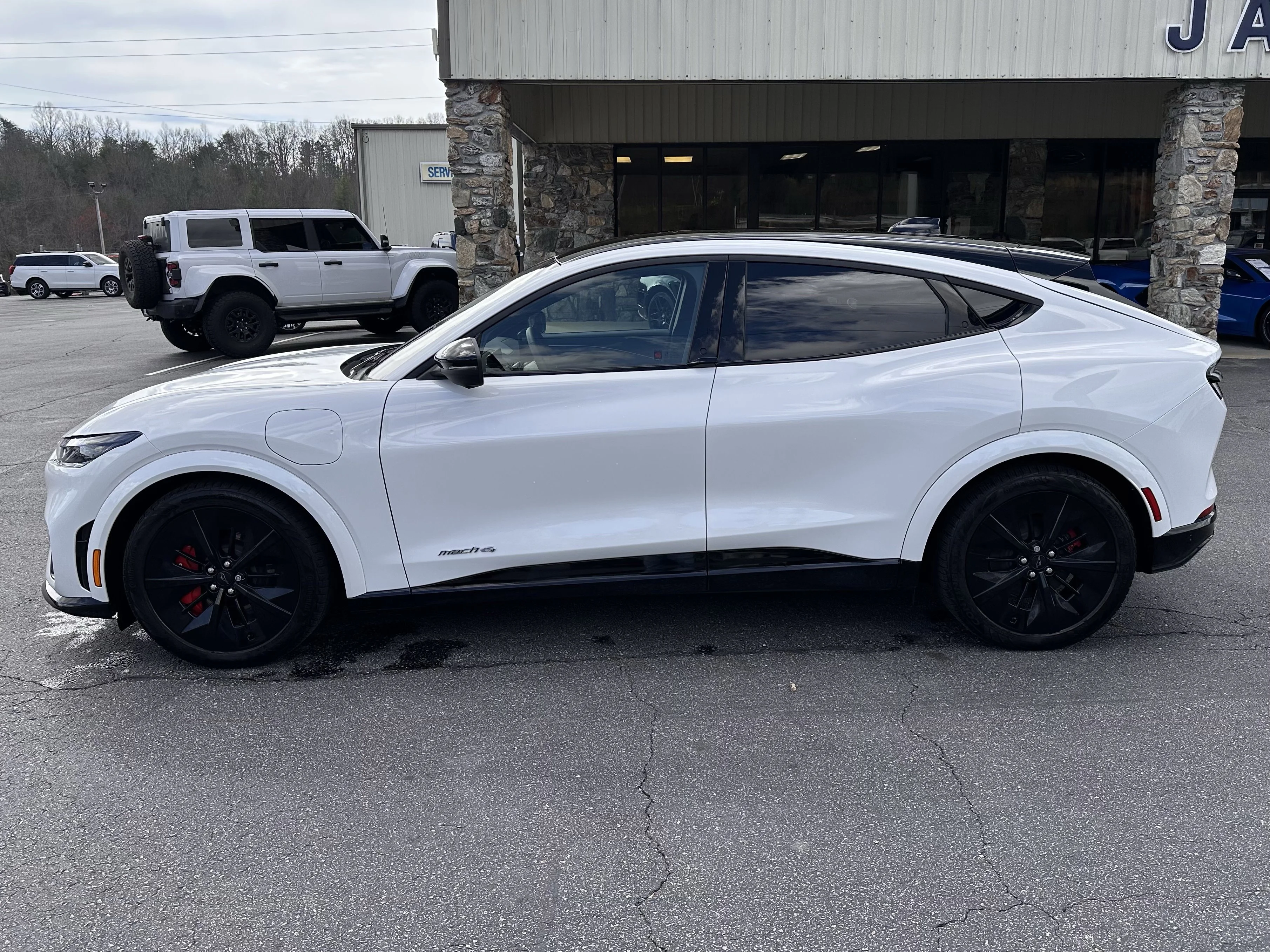 2025 Ford Mustang-Mach-e GT's photo