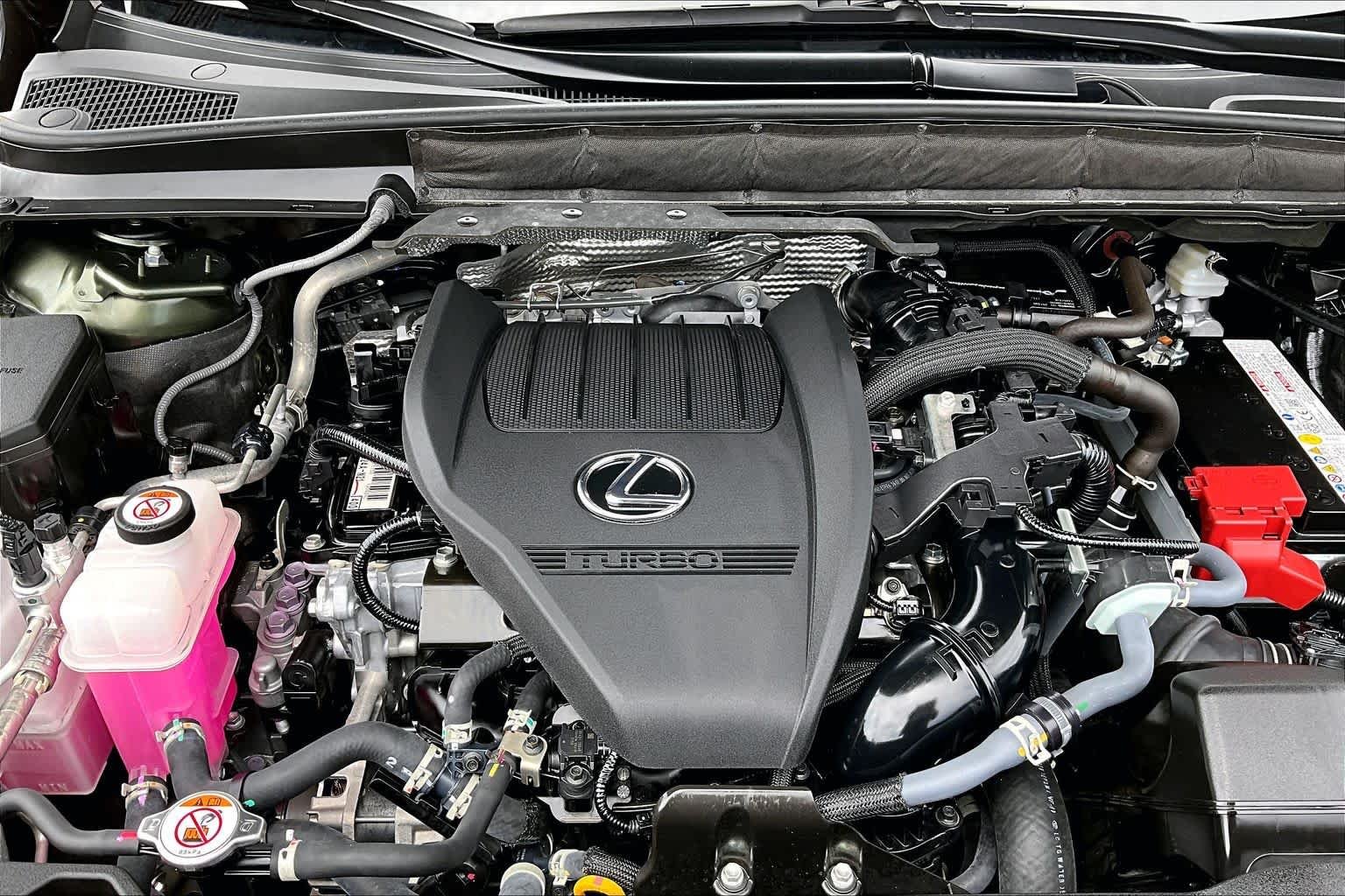 Used 2025 Nori Green Pearl Lexus Premium image 32