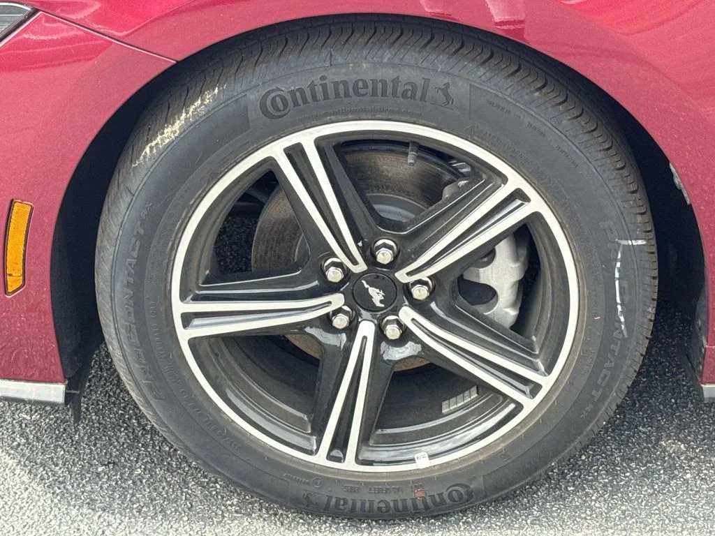 New 2025 Red Ford EcoBoost image 11