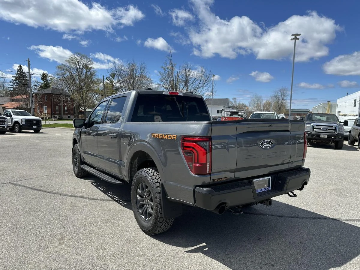New 2026 Grey Ford Tremor image 9