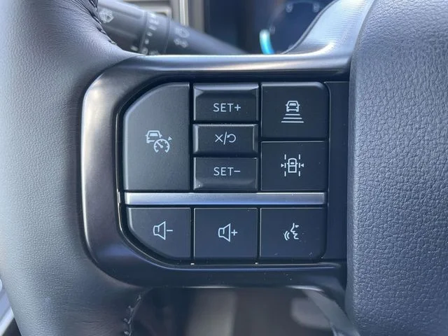 New 2026 Gray Ford Platinum image 12