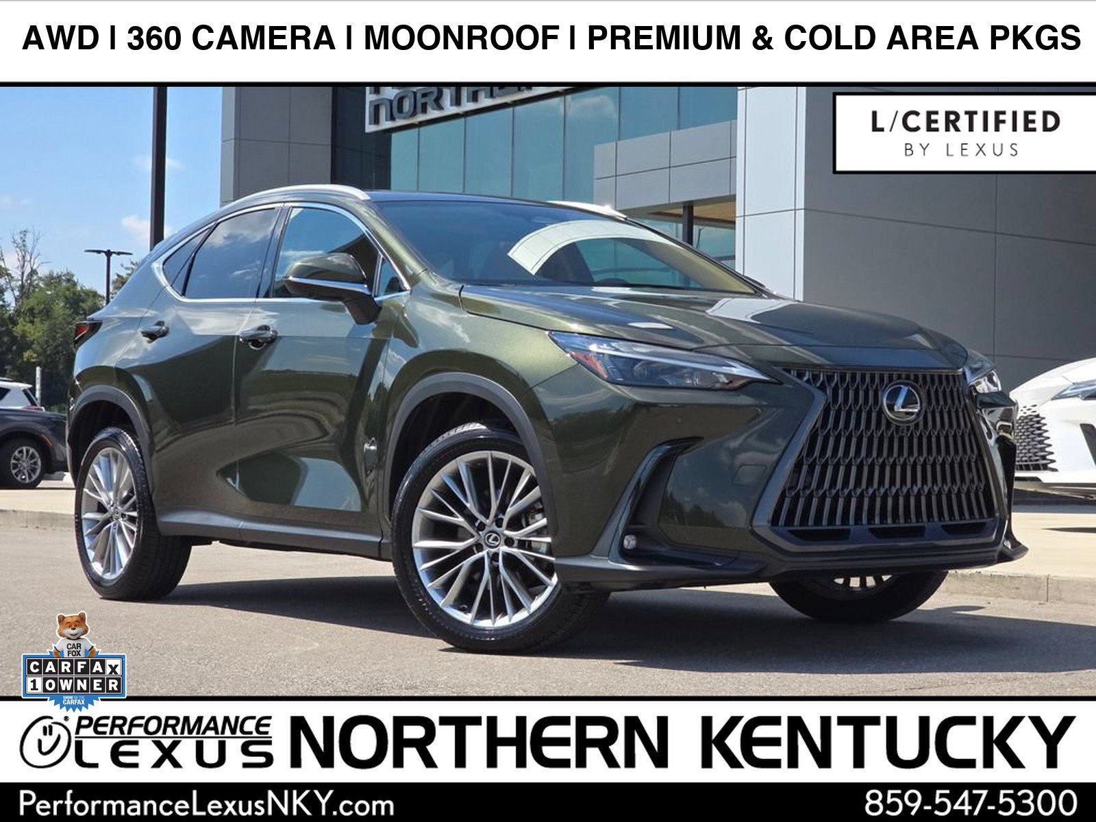 2025 Lexus NX