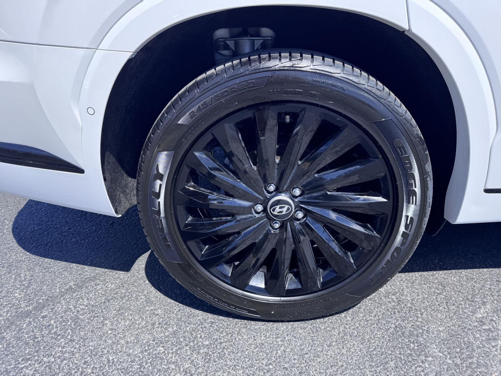 2025 Hyundai Palisade Calligraphy Night Edition - Photo 14