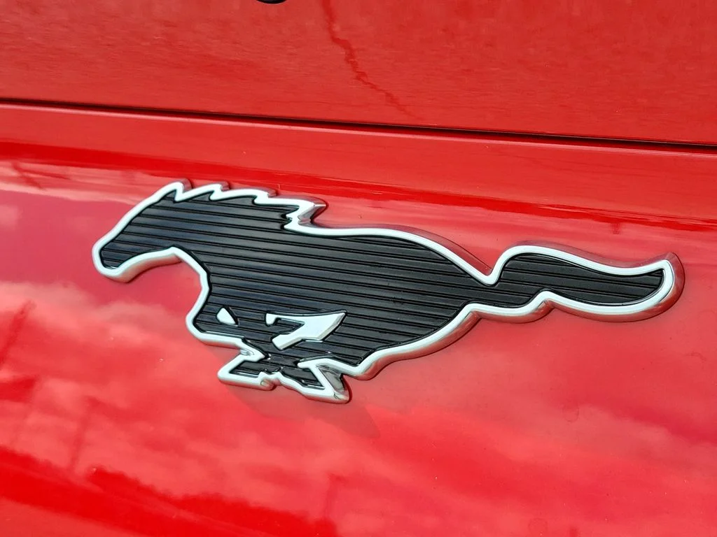 New 2026 Race Red Ford Premium image 6