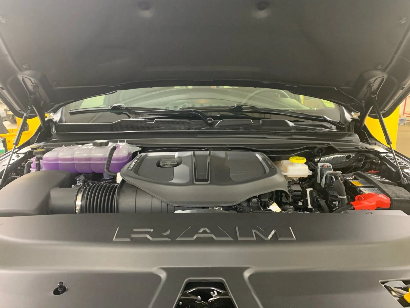 New 2026 Granite Crystal Metallic Ram Express image 20