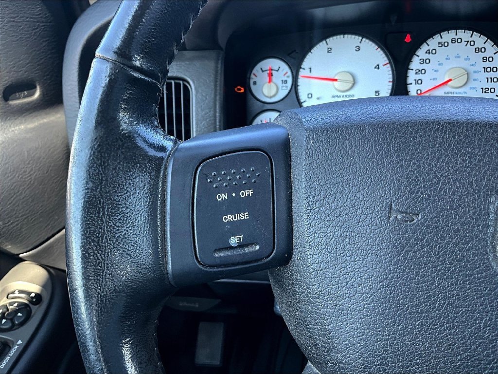 Used 2004 Black Dodge SLT image 16