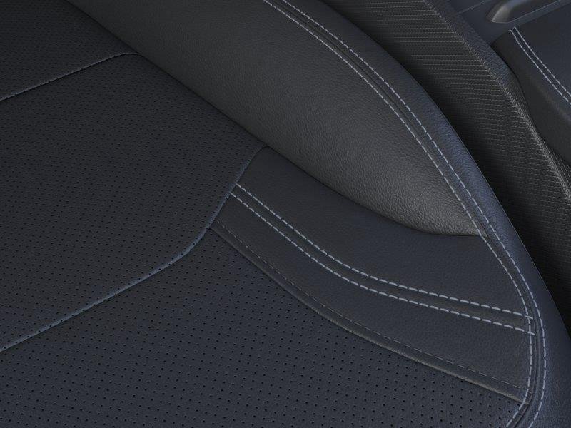 New 2026 Shadow Black Ford Premium image 8