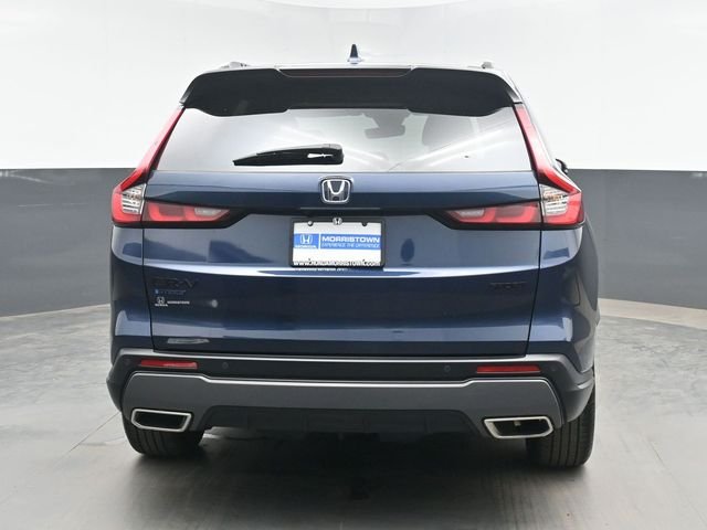 Used 2026 Blue Honda Sport-L image 8
