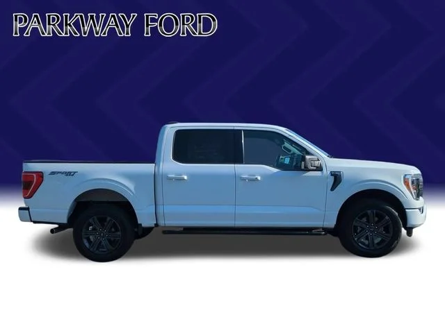 Used 2023 White Ford XLT image 6