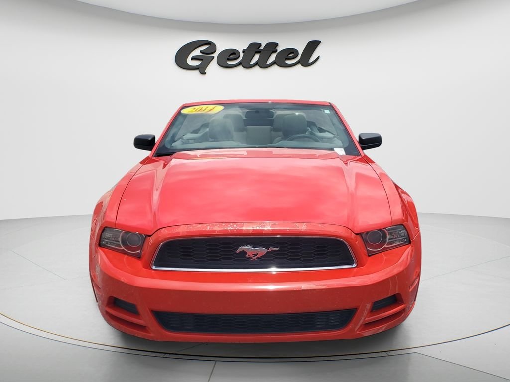 Used 2014 Ford Mustang V6 with VIN 1ZVBP8EM4E5263582 for sale in Punta Gorda, FL