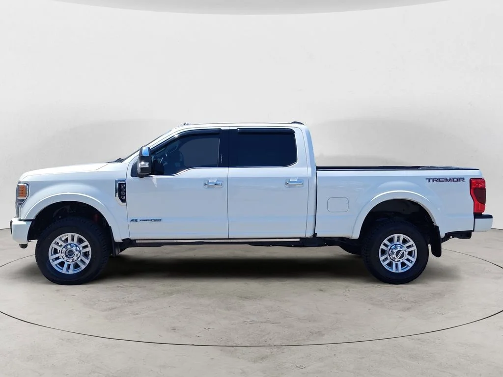 Used 2020 White Ford Platinum image 2