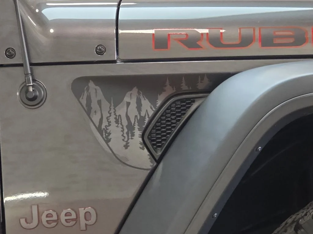 Used 2019 Gray Jeep Unlimited Rubicon image 8
