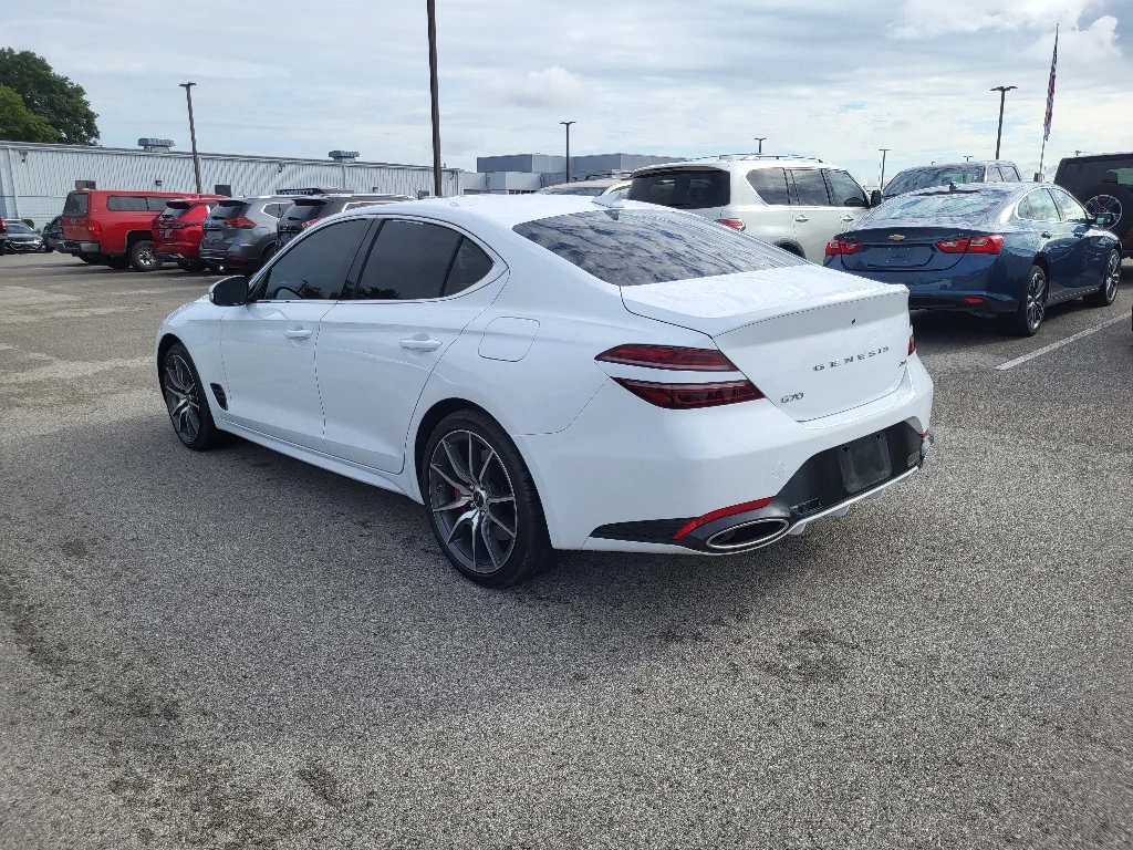 Used 2025 Alta White Genesis 2.5T image 8