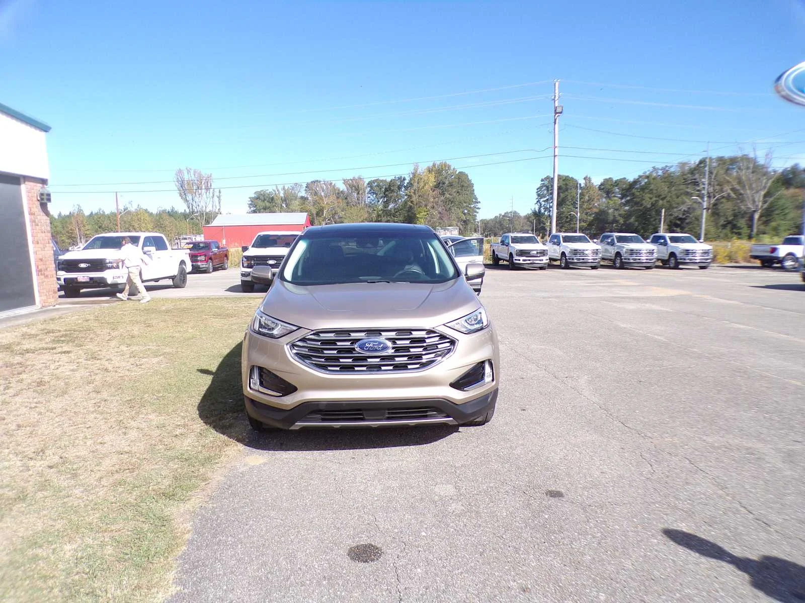 Used 2020 Desert Gold Metallic Ford SEL image 2