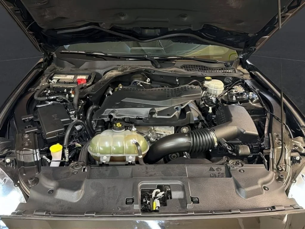 2018 Ford Mustang EcoBoost - Photo 23