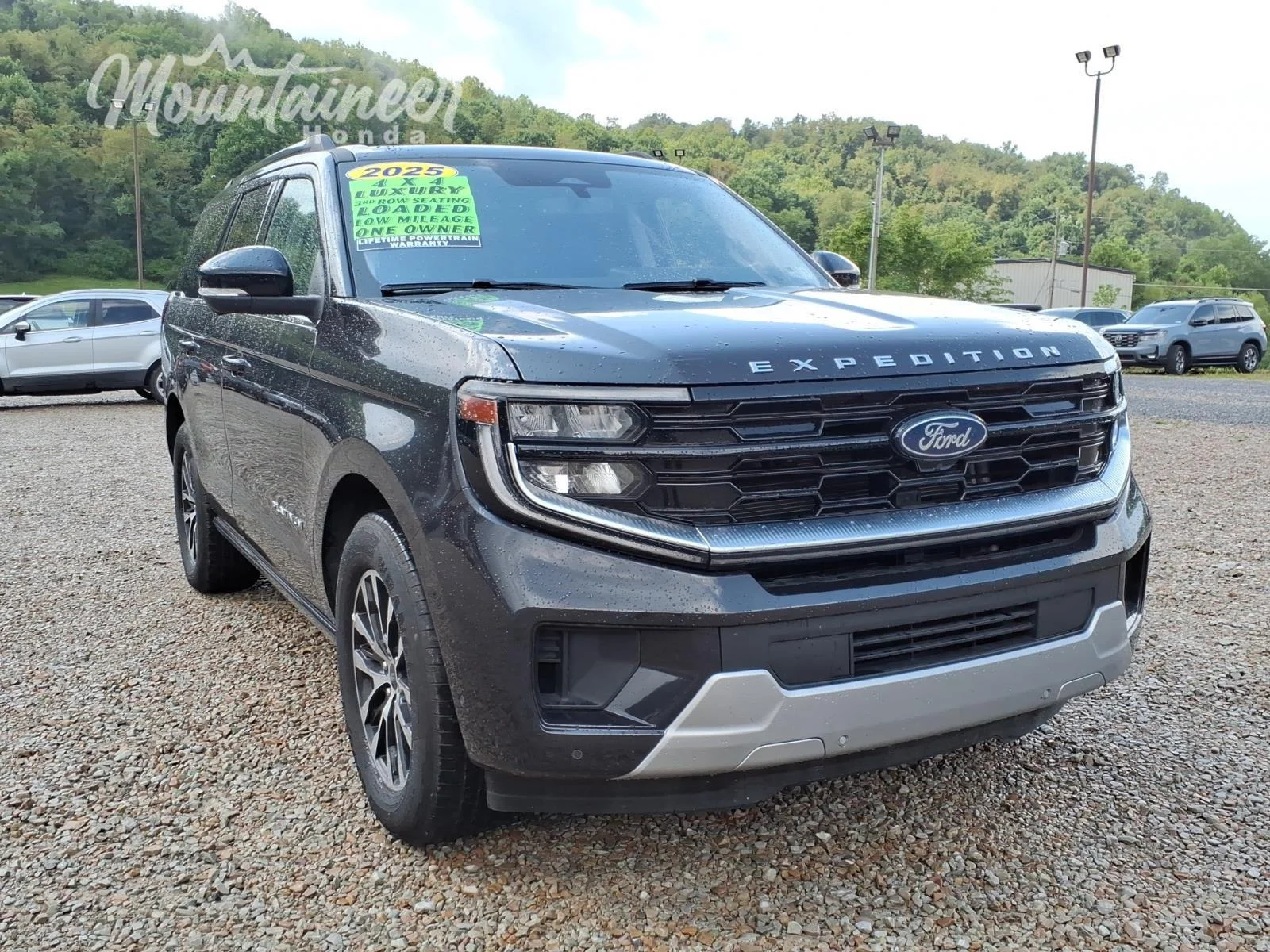 Used 2025 Dark Matter Gray Ford Platinum image 1