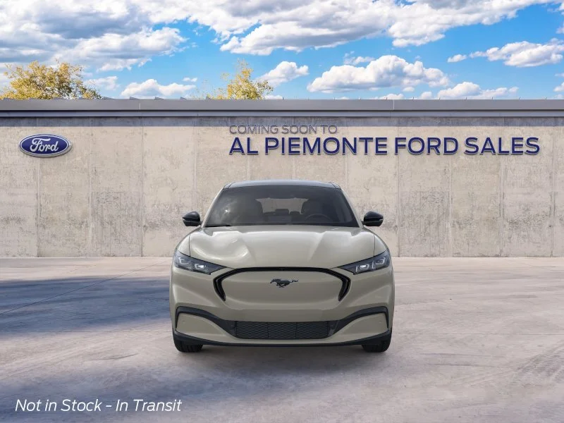 New 2026 Desert Sand Ford Premium image 6