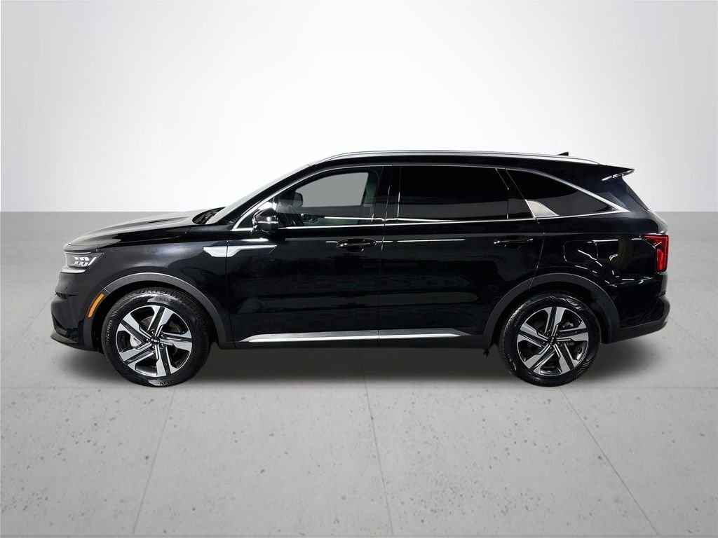 Used 2023 Aurora Black Kia SX Prestige image 9