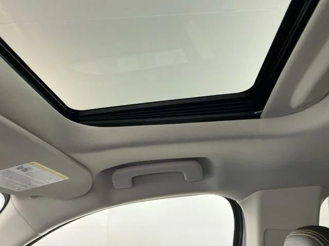 New 2026 Carbonized Gray Metallic Ford Tremor image 24