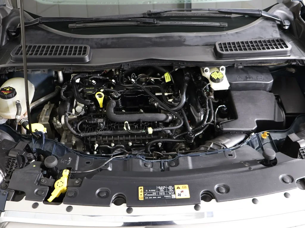 Used 2019 Green Ford SE image 17