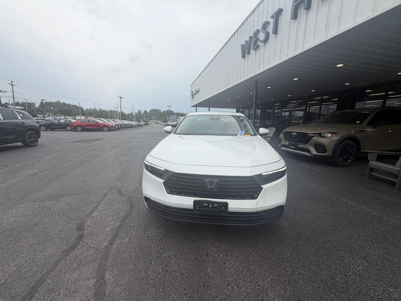 Used 2024 Platinum White Pearl Honda LX image 4