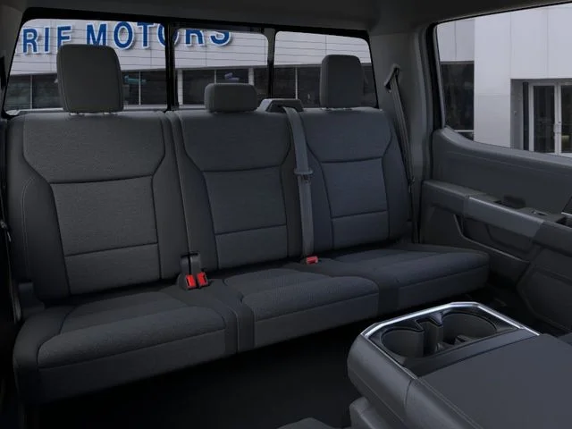 New 2026 Agate Black Metallic Ford LIFTED image 11