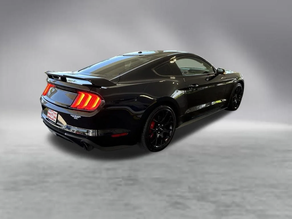 Used 2019 Shadow Black Ford EcoBoost Premium image 4