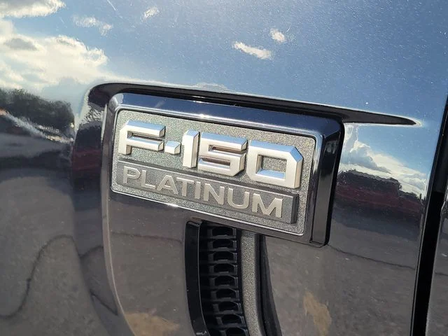 New 2026 Black Metallic Ford Platinum image 9