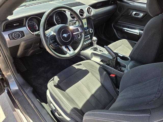 Used 2020 Gray Ford EcoBoost Fastback image 12