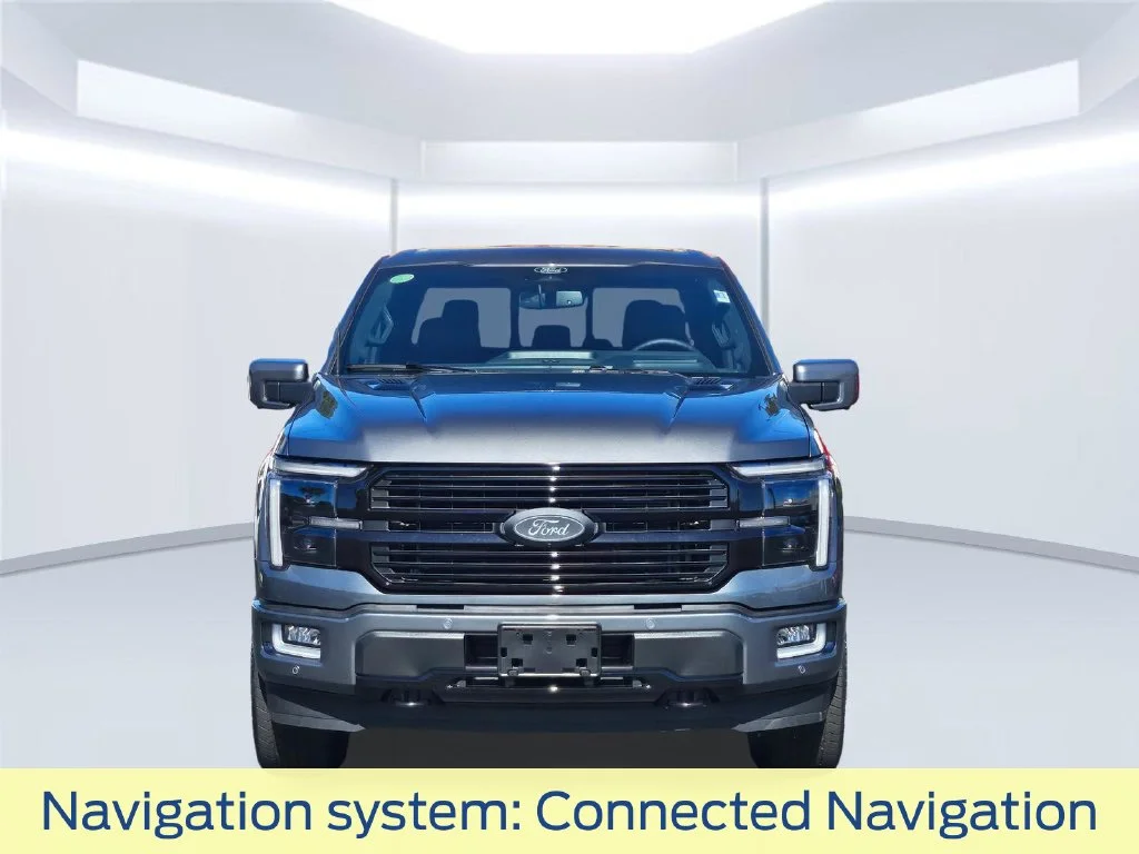 New 2026 Gray Ford Platinum image 19