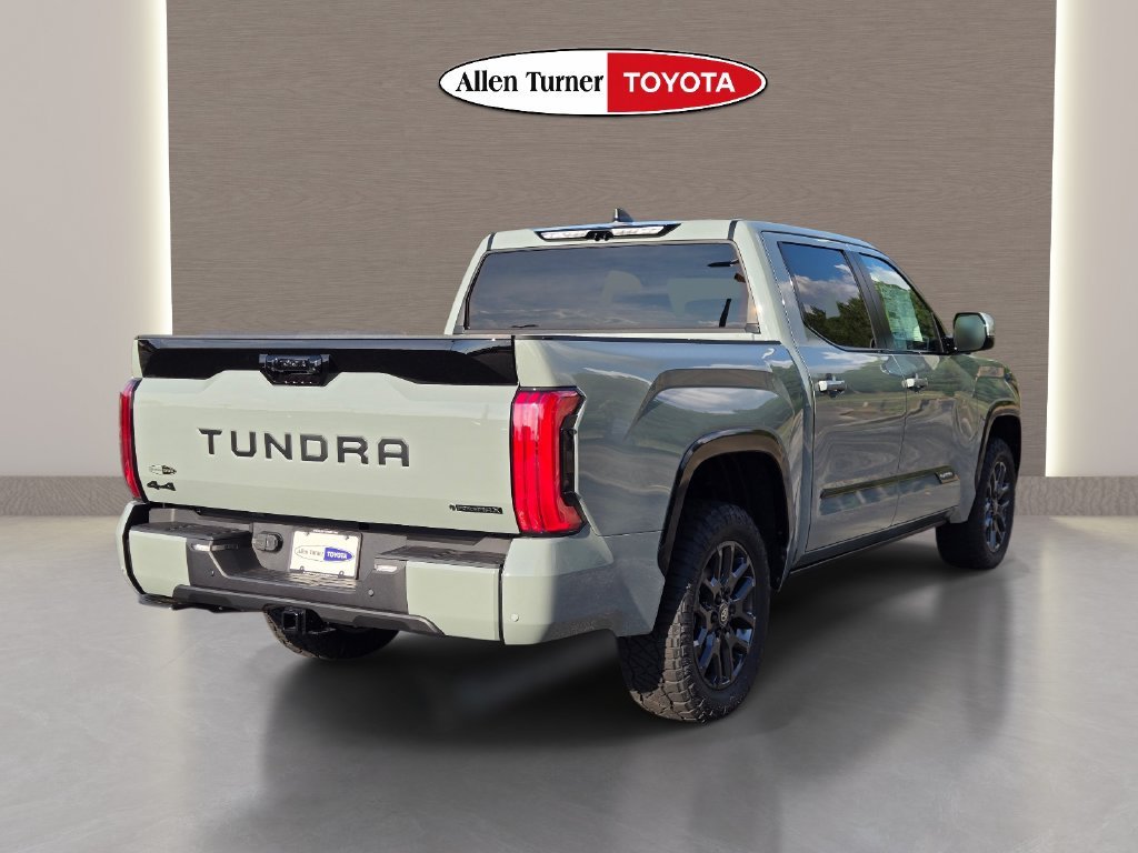 New 2026  Toyota Platinum image 7