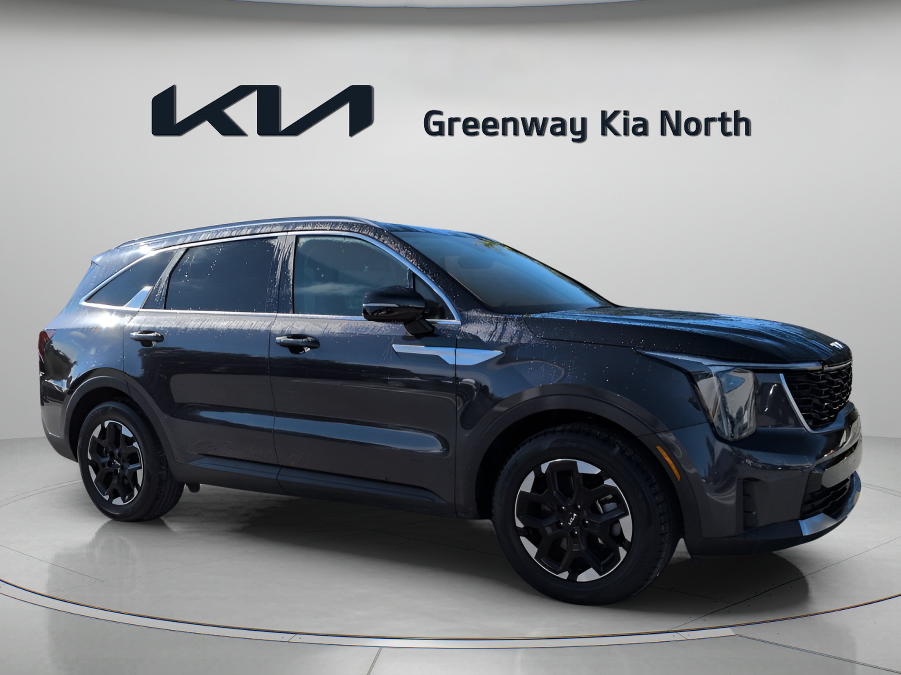 Used 2025 Panthera Metal Kia S image 2