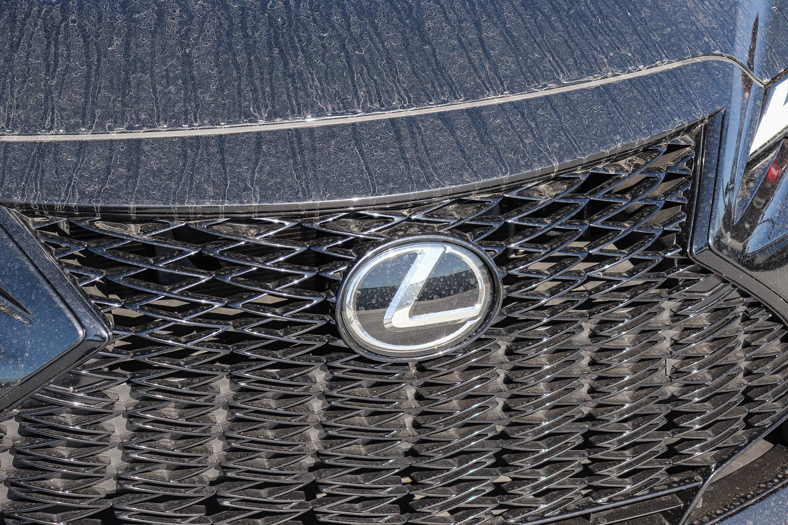 Certified Used 2024 Black Lexus 300 image 13