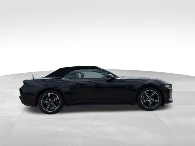 Used 2024 Black Ford EcoBoost Premium image 9