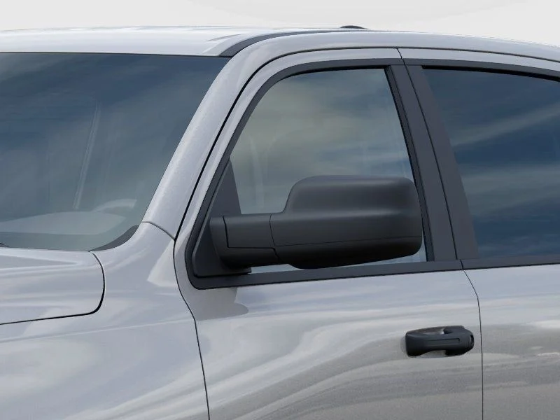 New 2026 Silver Zynith Exterior Paint RAM Express image 14