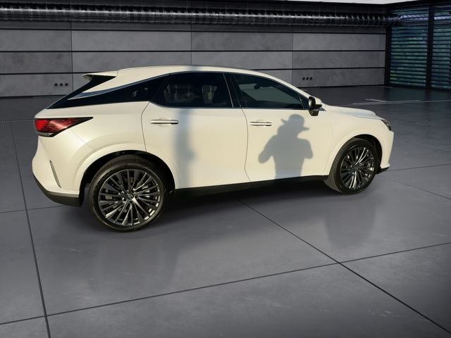 2026 Lexus RX 350 Luxury - Photo 8