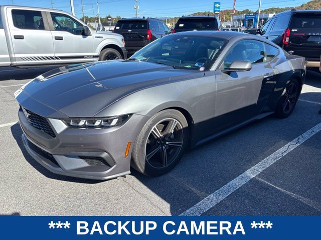 Used 2024 Gray Ford EcoBoost image 2