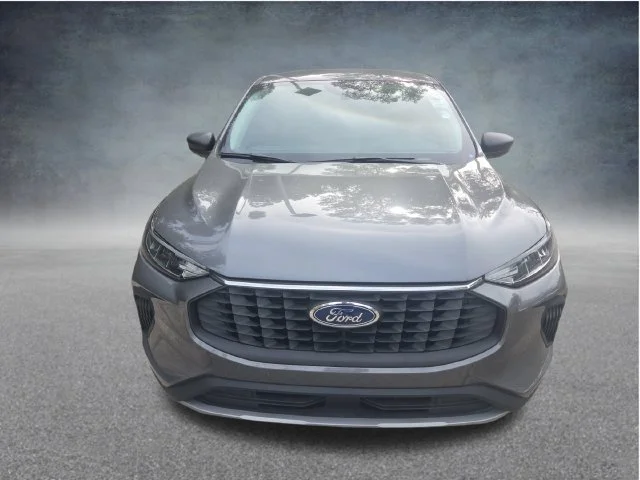 New 2026 Gray Ford Active image 2