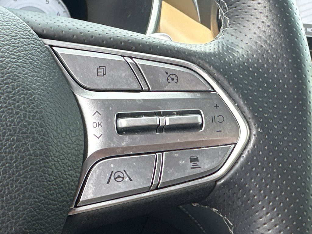 Used 2022 Portofino Gray Hyundai Calligraphy image 20