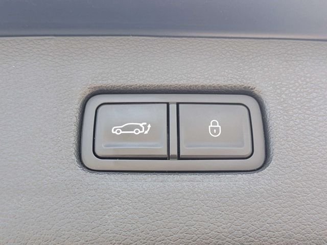Used 2024 Blue Genesis 2.5T image 13