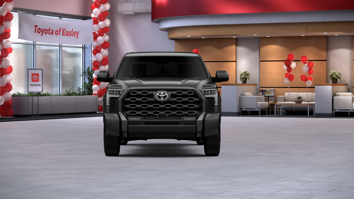 New 2026 Magnetic Gray Metallic Toyota Platinum image 47