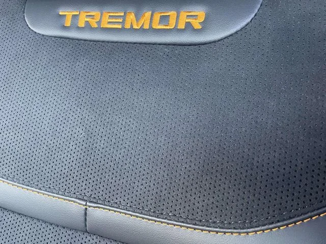 New 2026 Gray Ford Tremor image 17