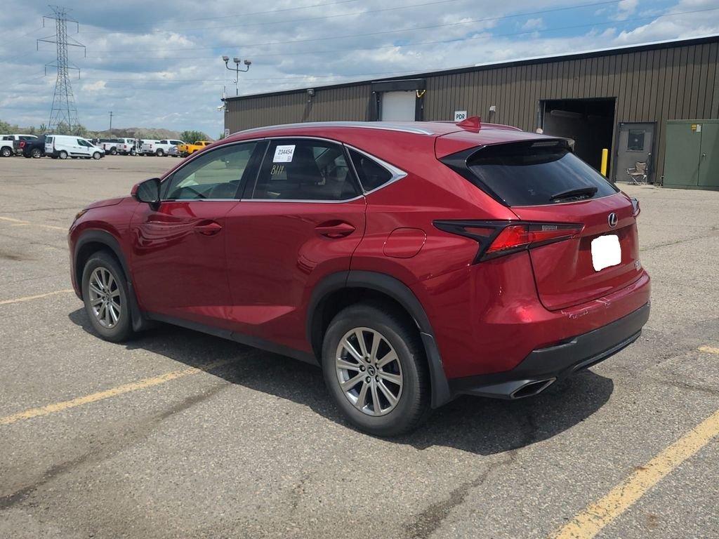 Used 2020 Red Lexus 300 Base image 4