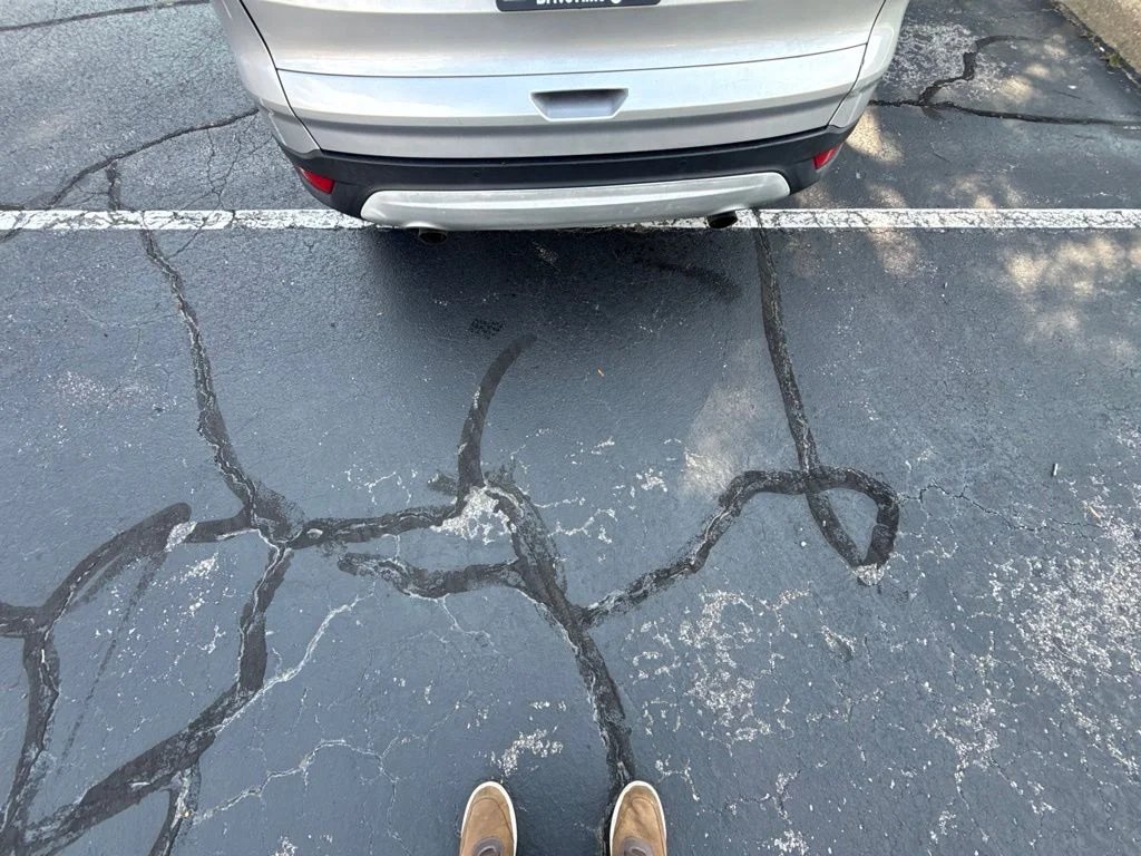 Used 2019 Silver Ford SE image 8
