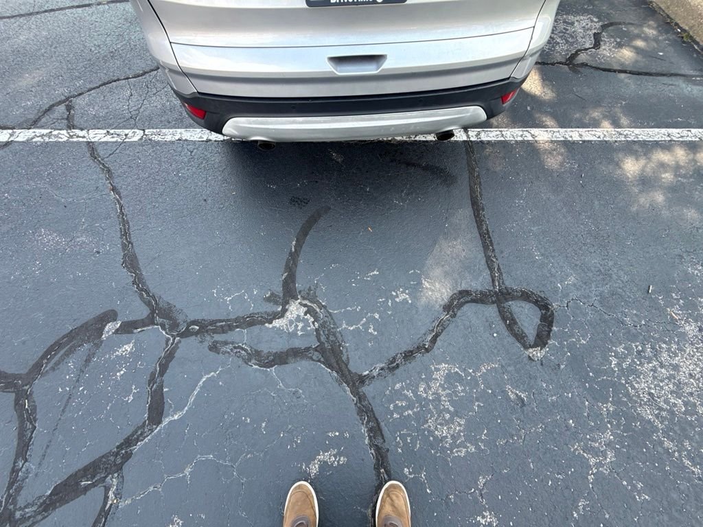 Used 2019 Silver Ford SE image 8